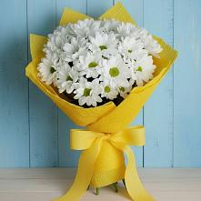 Букет цветов из:  Хризантемы в ВНИИССе
