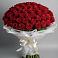Букет 101 Красная роза Блэк Мэджик в ВНИИССе