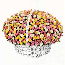 Премиум букет из: Розы в ВНИИССе