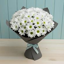 Букет цветов из:  Хризантемы в ВНИИССе