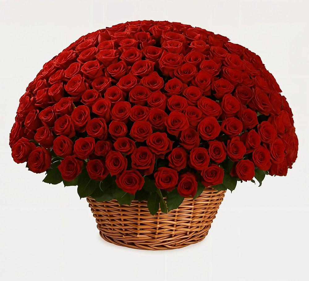 Премиум букет из: Розы в ВНИИССе