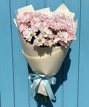 Букет цветов из:  Хризантемы в ВНИИССе