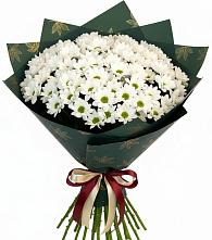 Букет цветов из:  Хризантемы в ВНИИССе