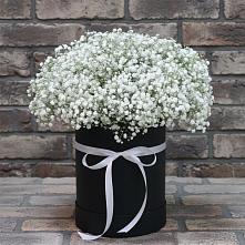 Цветочная композиция из Гипсофила в шляпной коробке в ВНИИССе