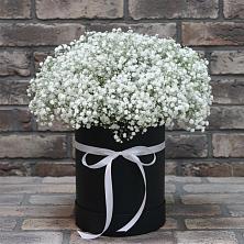 Цветочная композиция из Гипсофила в шляпной коробке в ВНИИССе