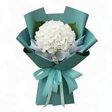 Букет цветов из:  Гортензия #REPLACE_PRED# ВНИИССе